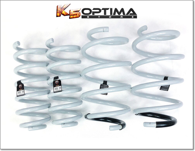 Kia Telluride - Storm Lowering Springs