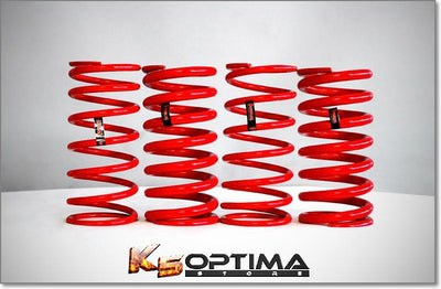 Storm Lowering Springs