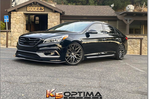 2015-2019 Sonata Lowering Springs