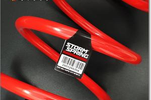 Storm springs kia k5