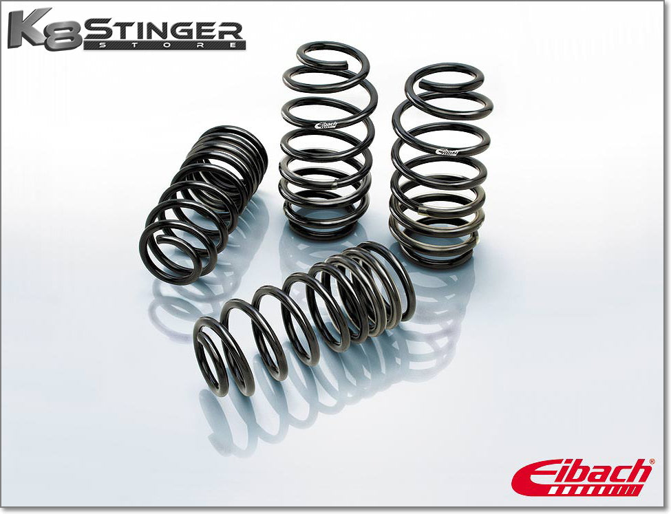Eibach k8 stinger springs