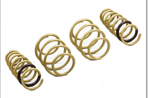 Kia K5 Performance Springs