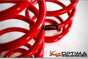 2014 Kia Forte lowering springs